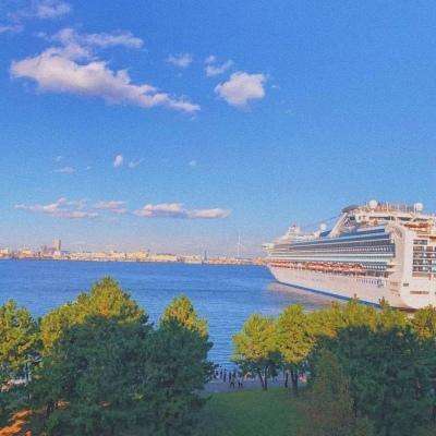 澳门2023全年免费资料大全手机app下载