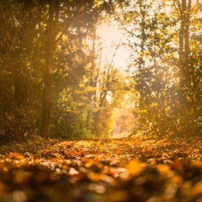 万博手机版max网页版