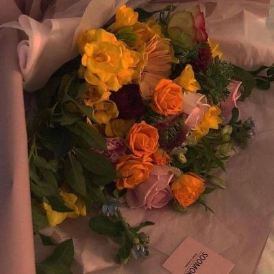 乐鱼平台app下载