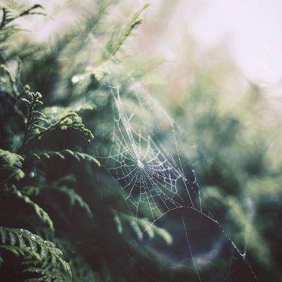 云开平台APP官方全站APP入口手机app下载截图